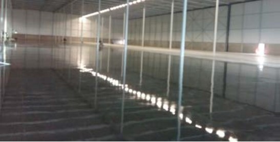 Dick Vijn Logistiek - Echt